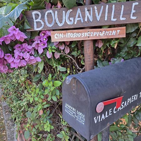 Casa Vacanze “Bouganville” Loc Avane Pisa Vecchiano Exteriér fotografie